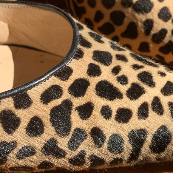Cheetah Manolos - Picture 2 of 5